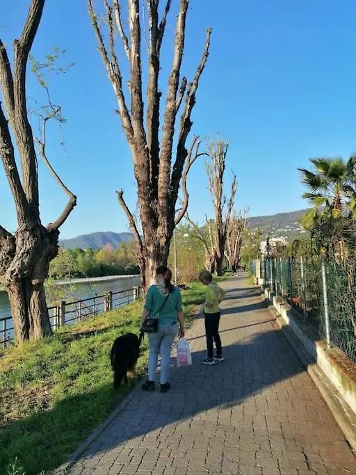 Serena Home San Salvatore